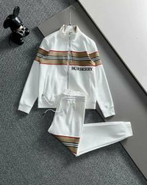 Picture of Burberry SweatSuits _SKUBurberryM-3XLkdtn5427416